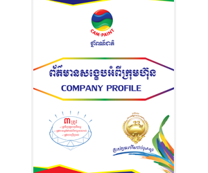 Company Profile