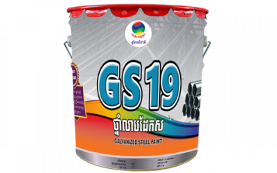 GS 19