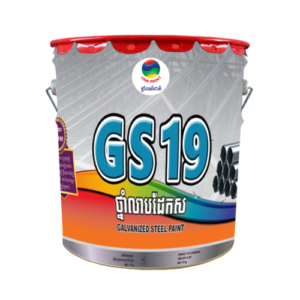 GS 19