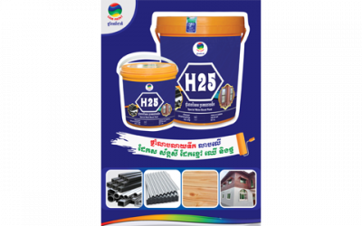 H25