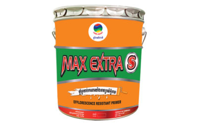 Max Extra S