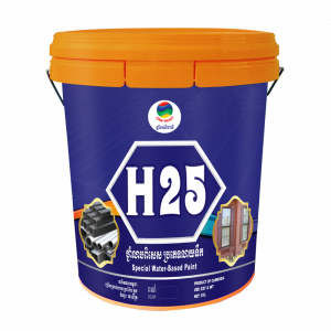 ០៥- អេច២៥